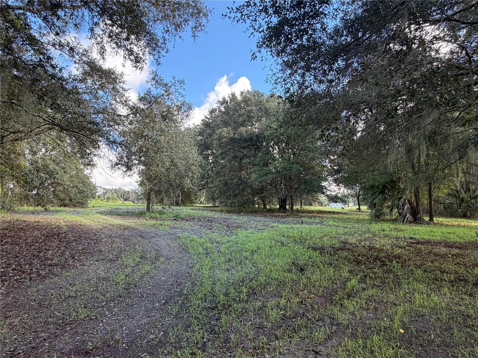 Land at W LAKE YALE RD, UMATILLA, photo 10 of 13