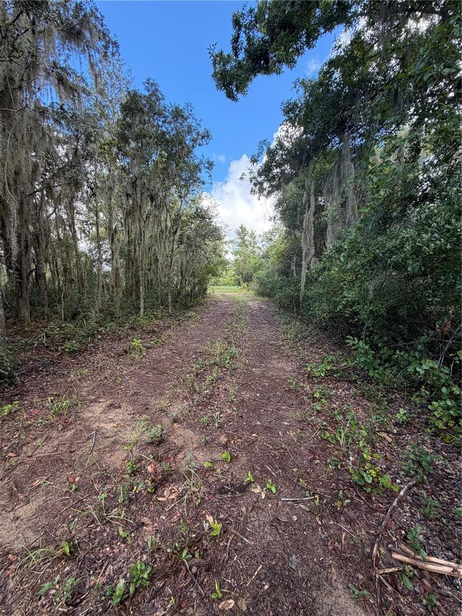 Land at W LAKE YALE RD, UMATILLA, photo 13 of 13