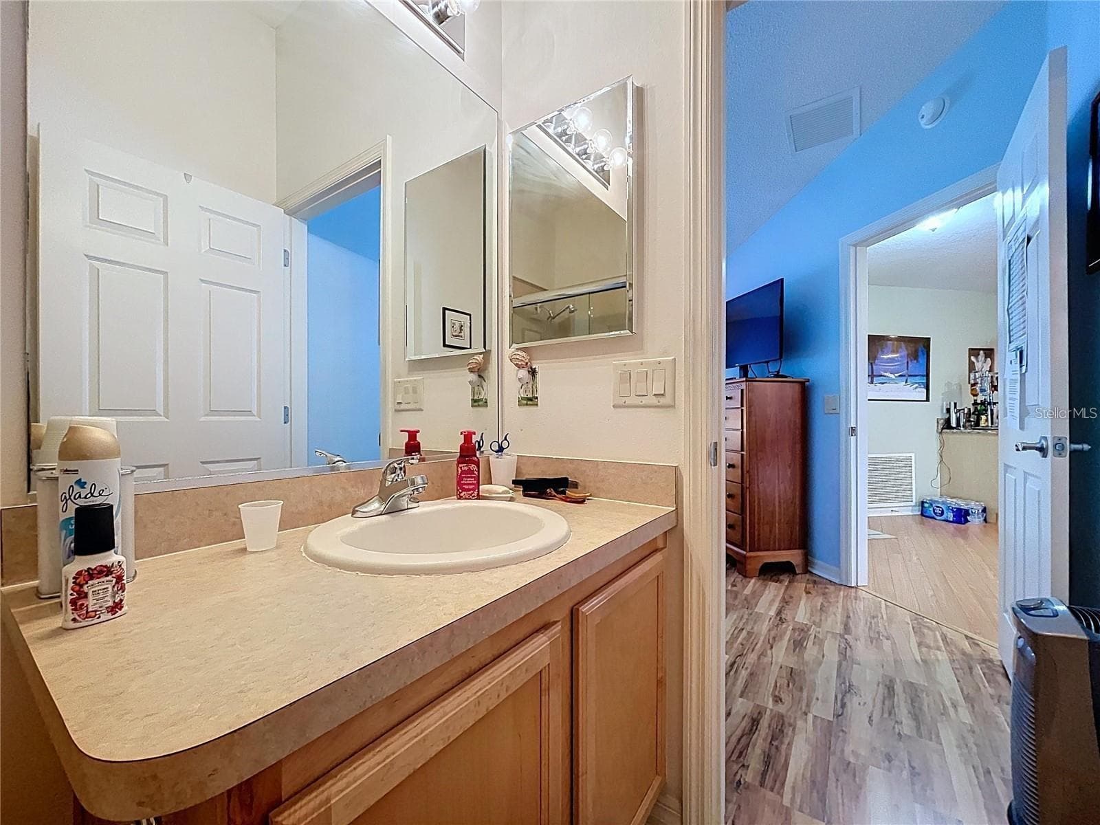 Villa at 388 BRADLEY TER, THE VILLAGES, photo 22 of 29