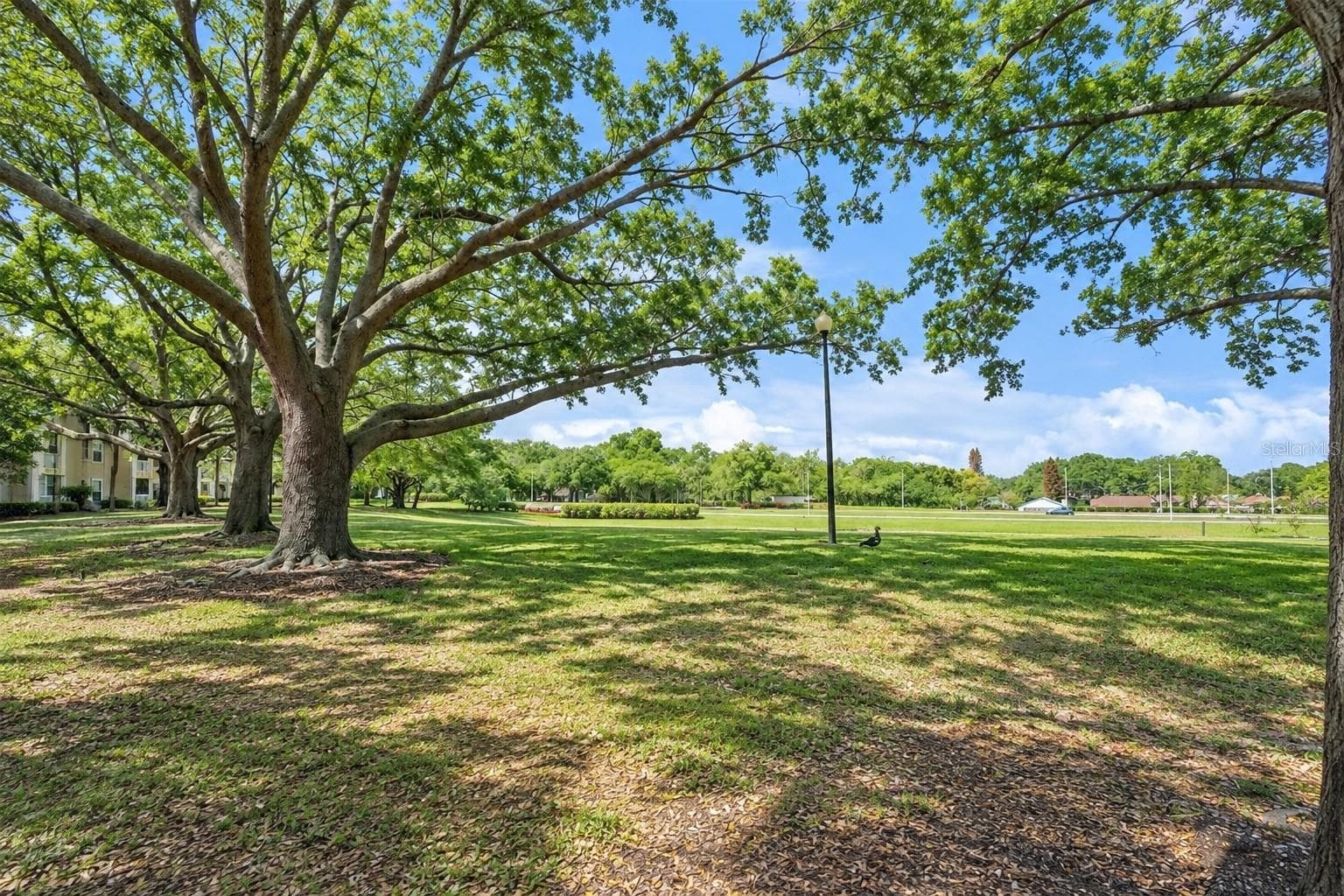 Community - 1037 S HIAWASSEE RD #2824, ORLANDO