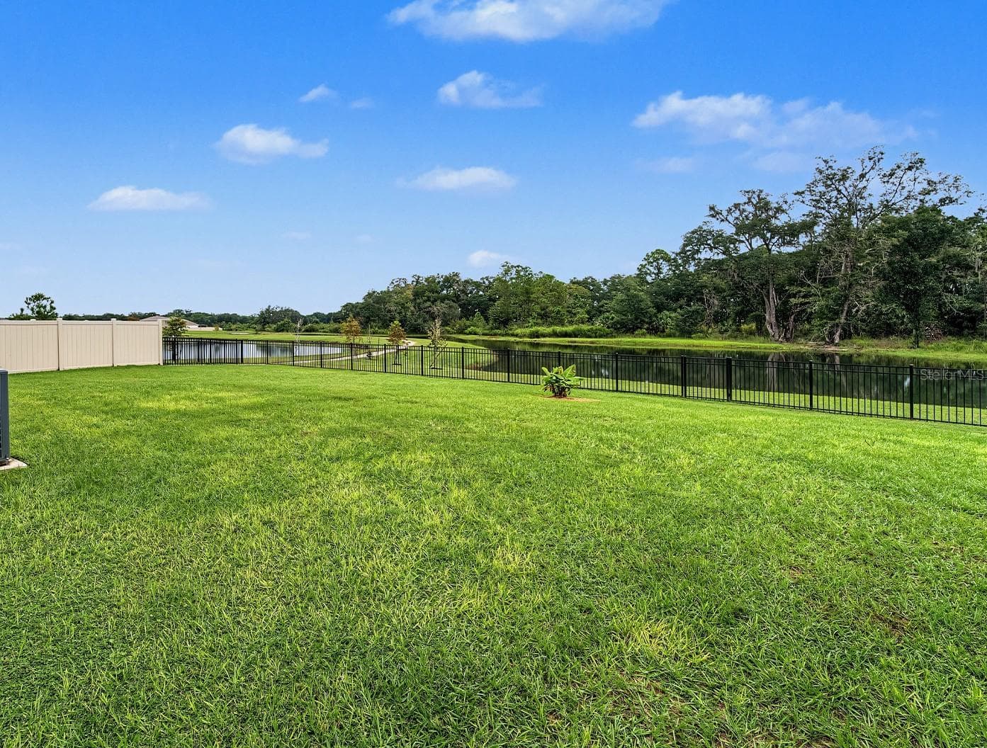 Single Family Residence at 36013 ELLSWORTH PL, ZEPHYRHILLS, photo 23 of 26