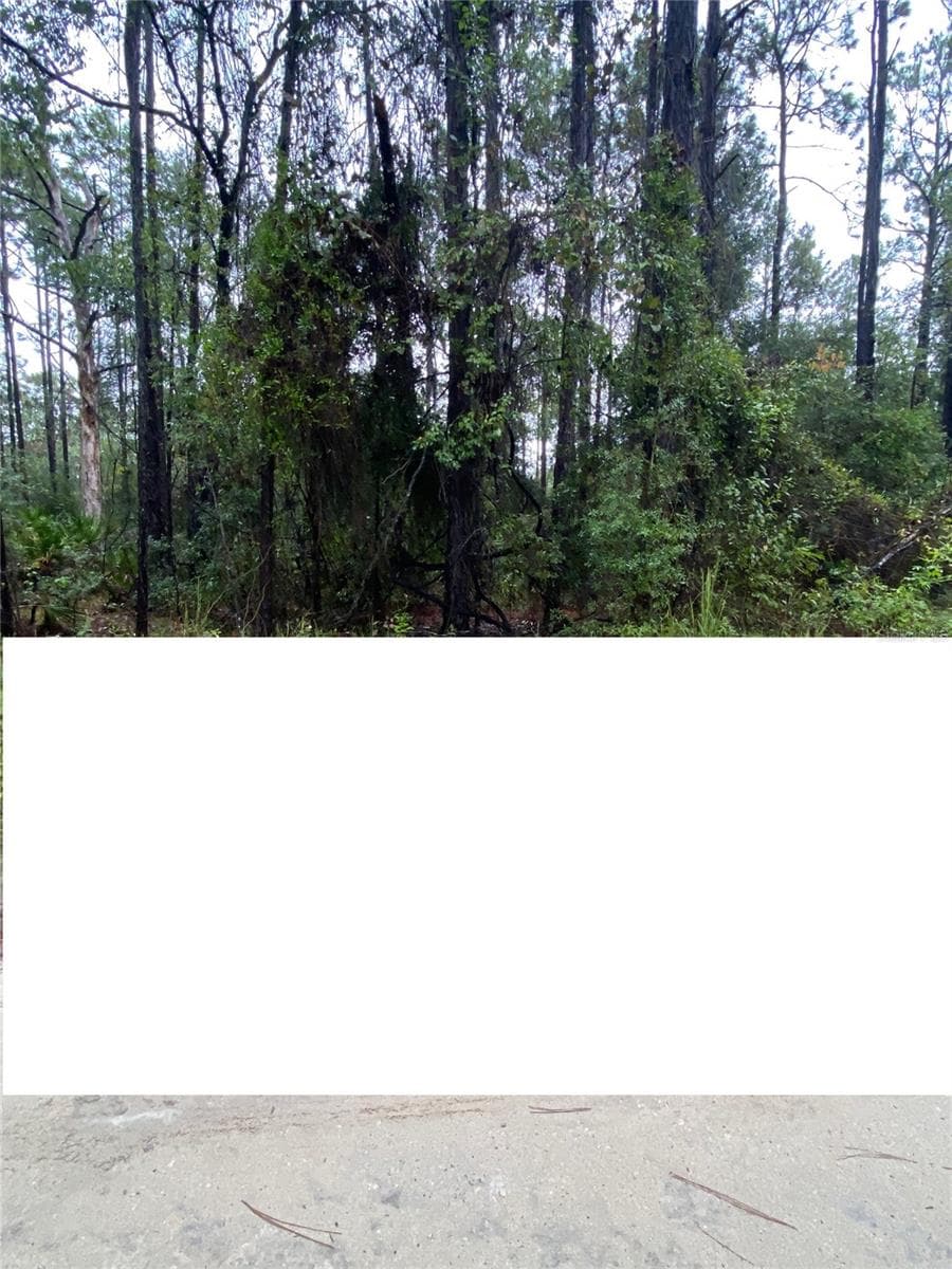 Land at TBD SW 27TH LN, OCALA, photo 7 of 8