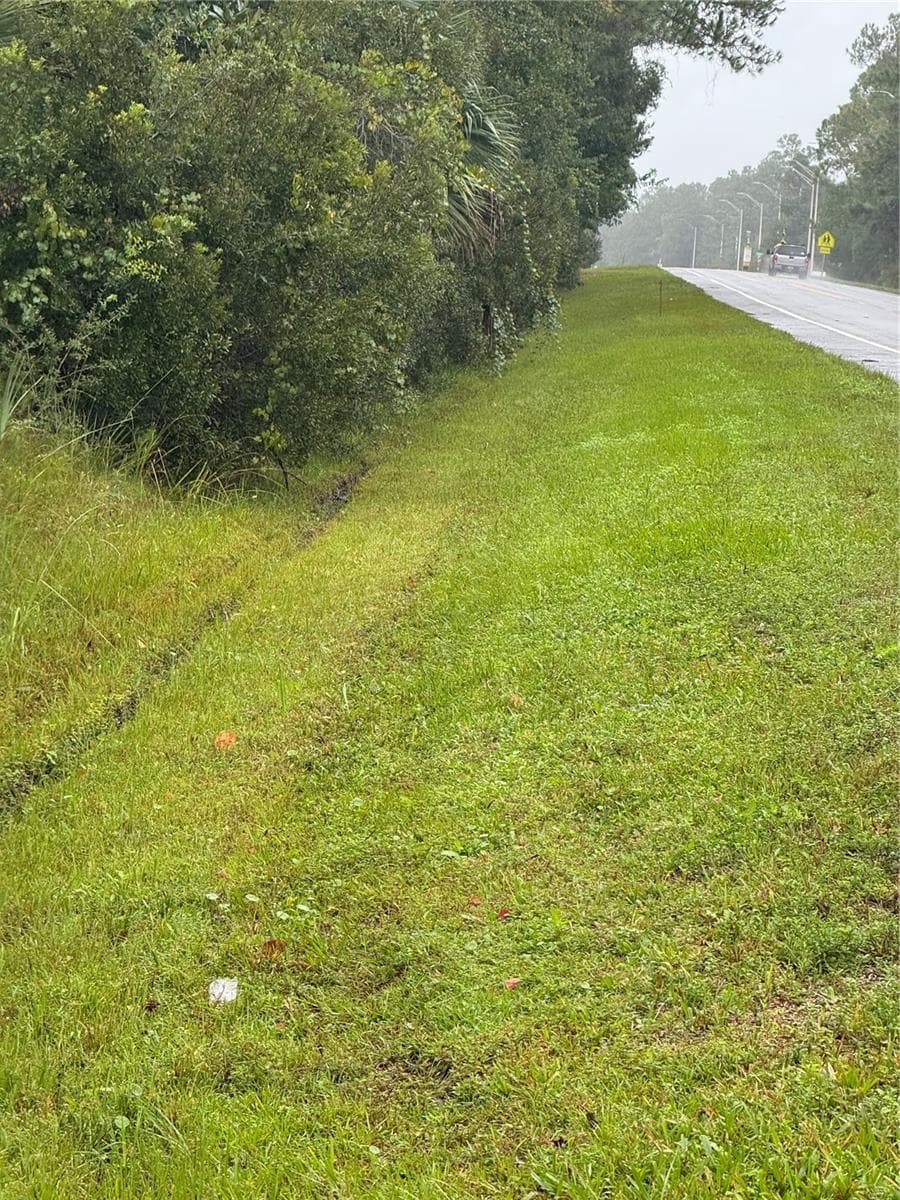 Land at 765 N US HIGHWAY 17, PIERSON, photo 2 of 5