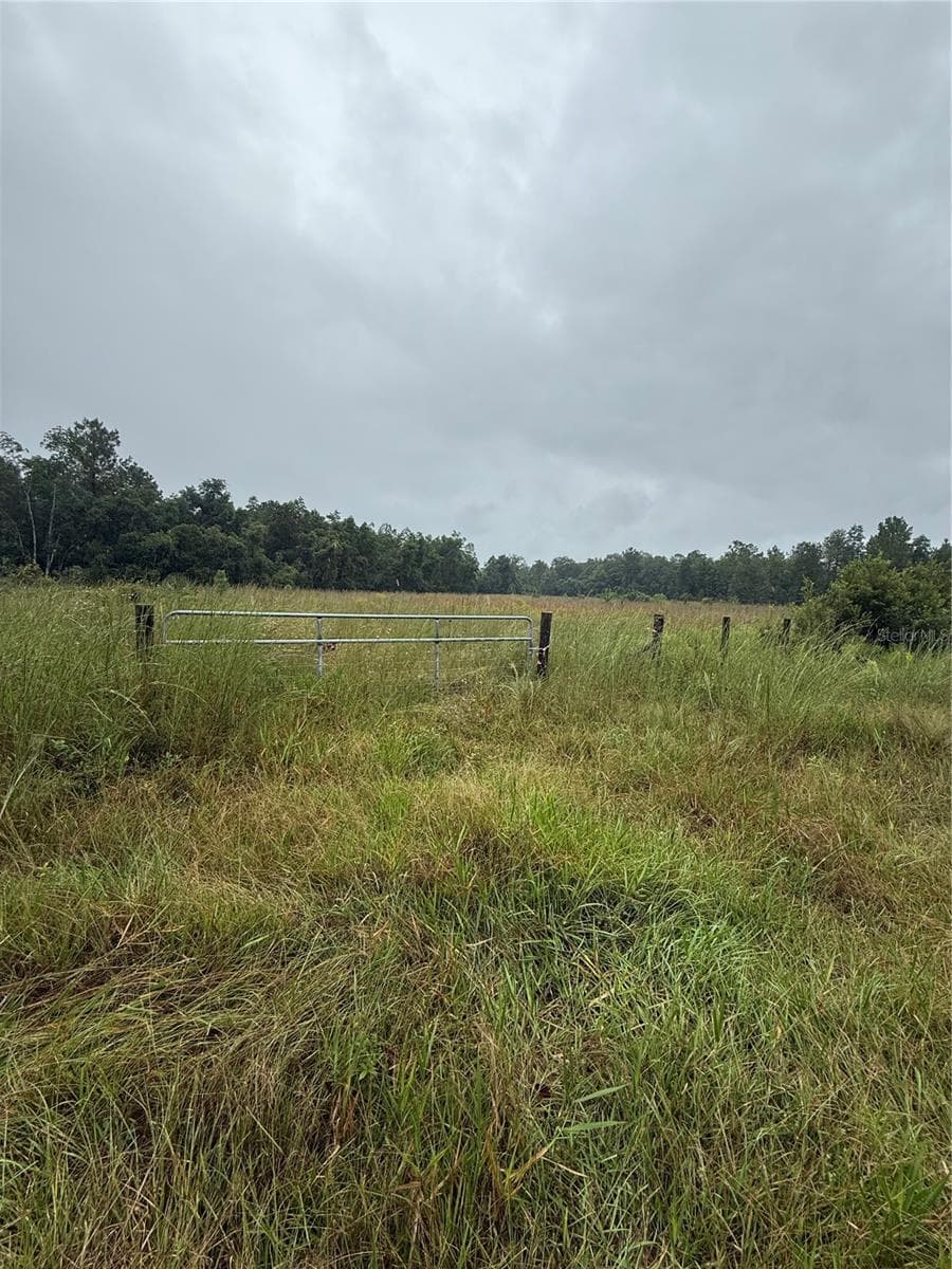 Land at 765 N US HIGHWAY 17, PIERSON, photo 3 of 5