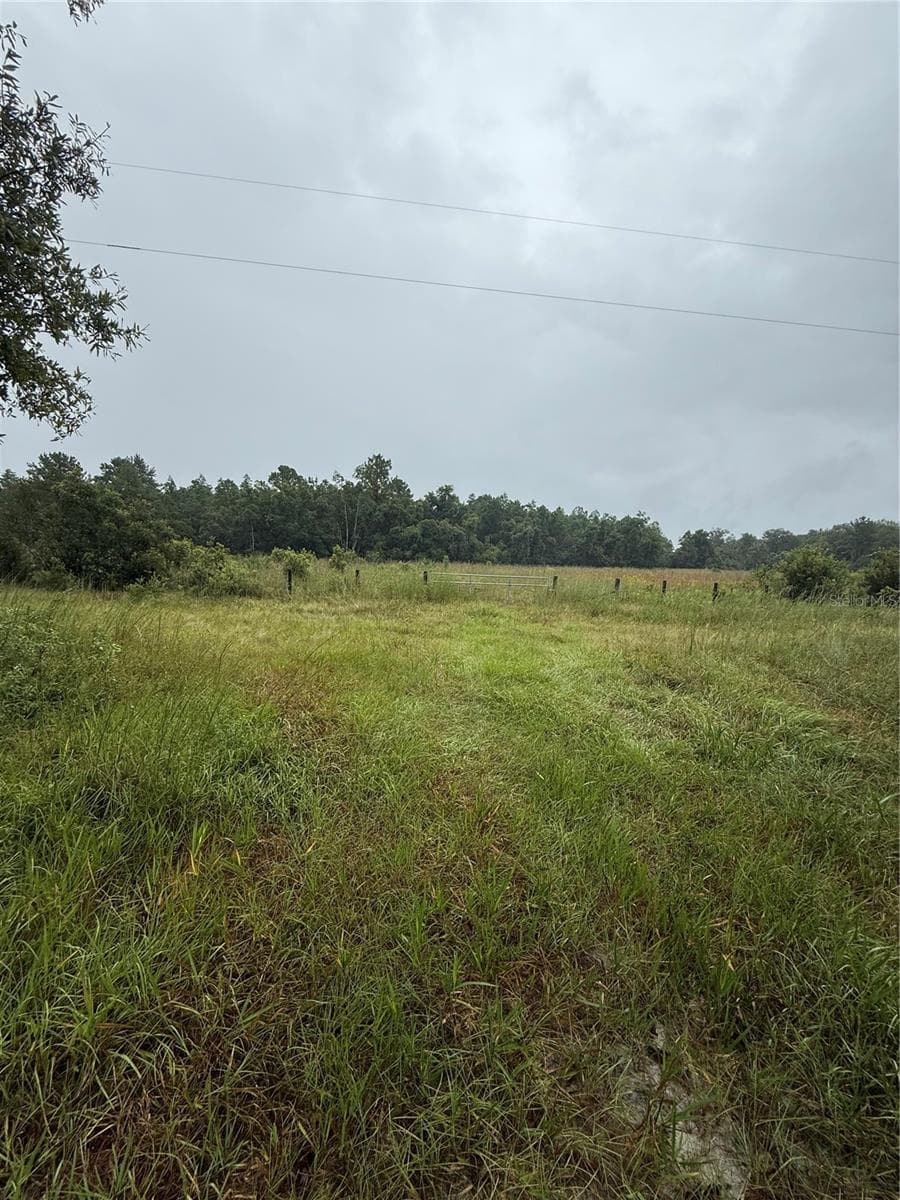 Land at 765 N US HIGHWAY 17, PIERSON, photo 4 of 5