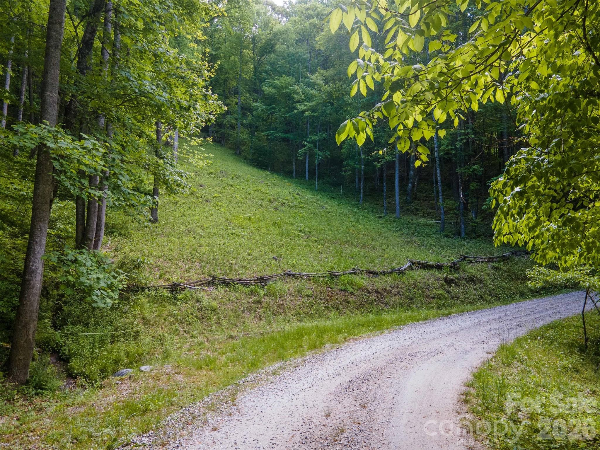 View of the bottom of the property. - Lt 10 Von Trapp Lane, Tuckasegee