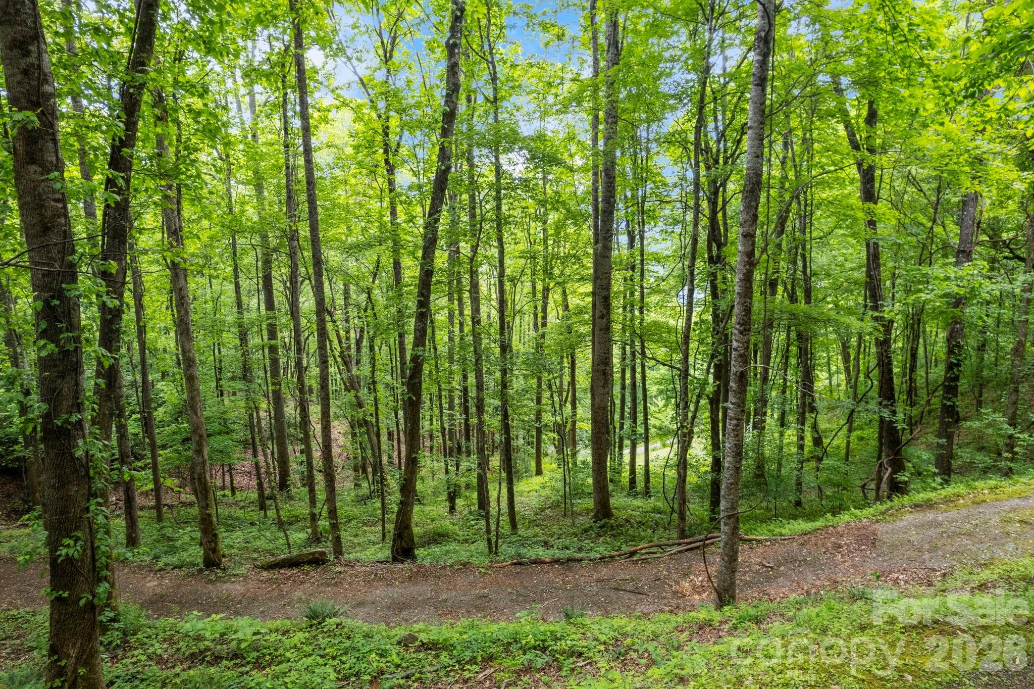 Nice cleared area. - Lt 10 Von Trapp Lane, Tuckasegee