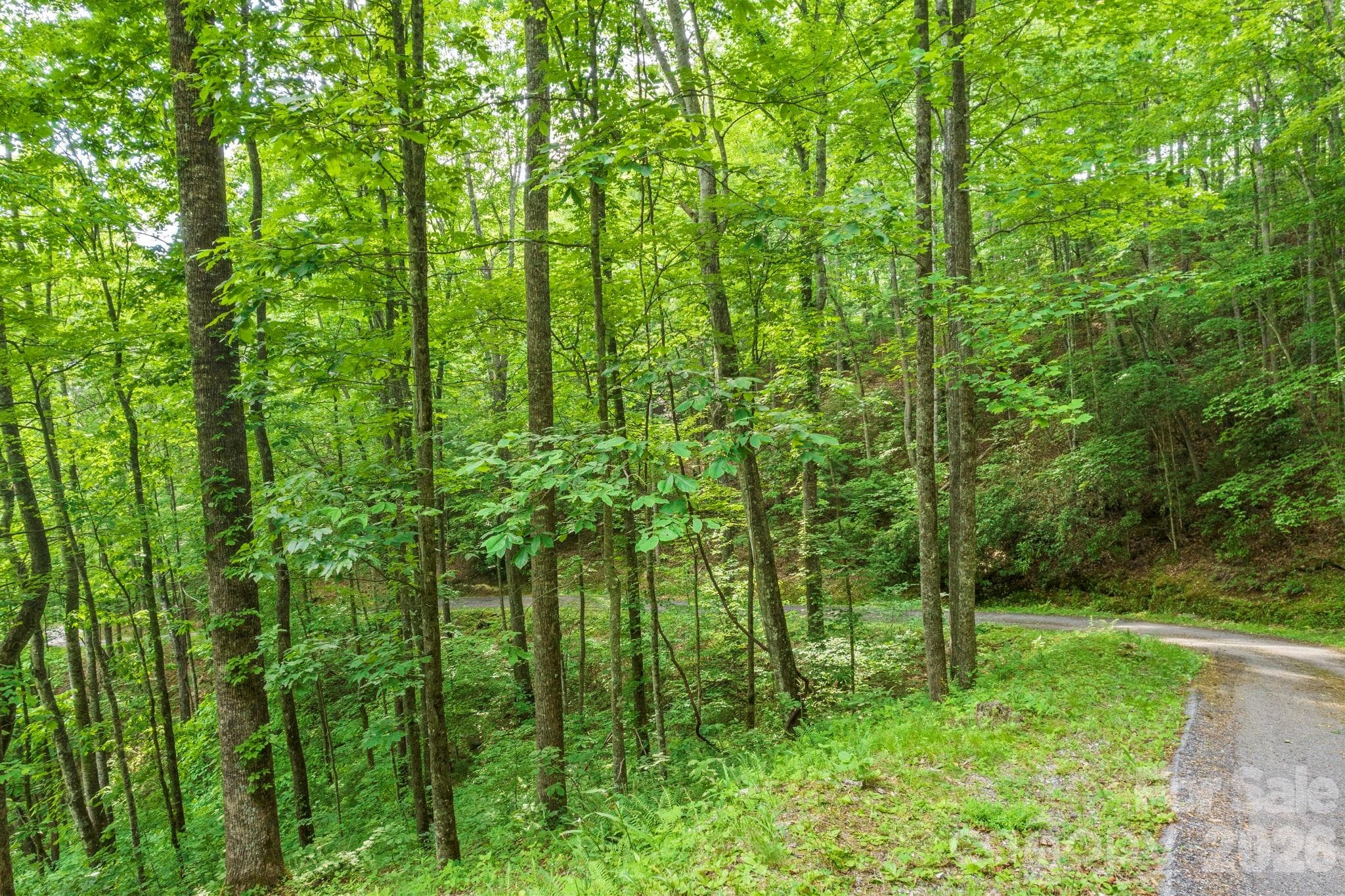 Property owners association maintains the road. - Lt 10 Von Trapp Lane, Tuckasegee