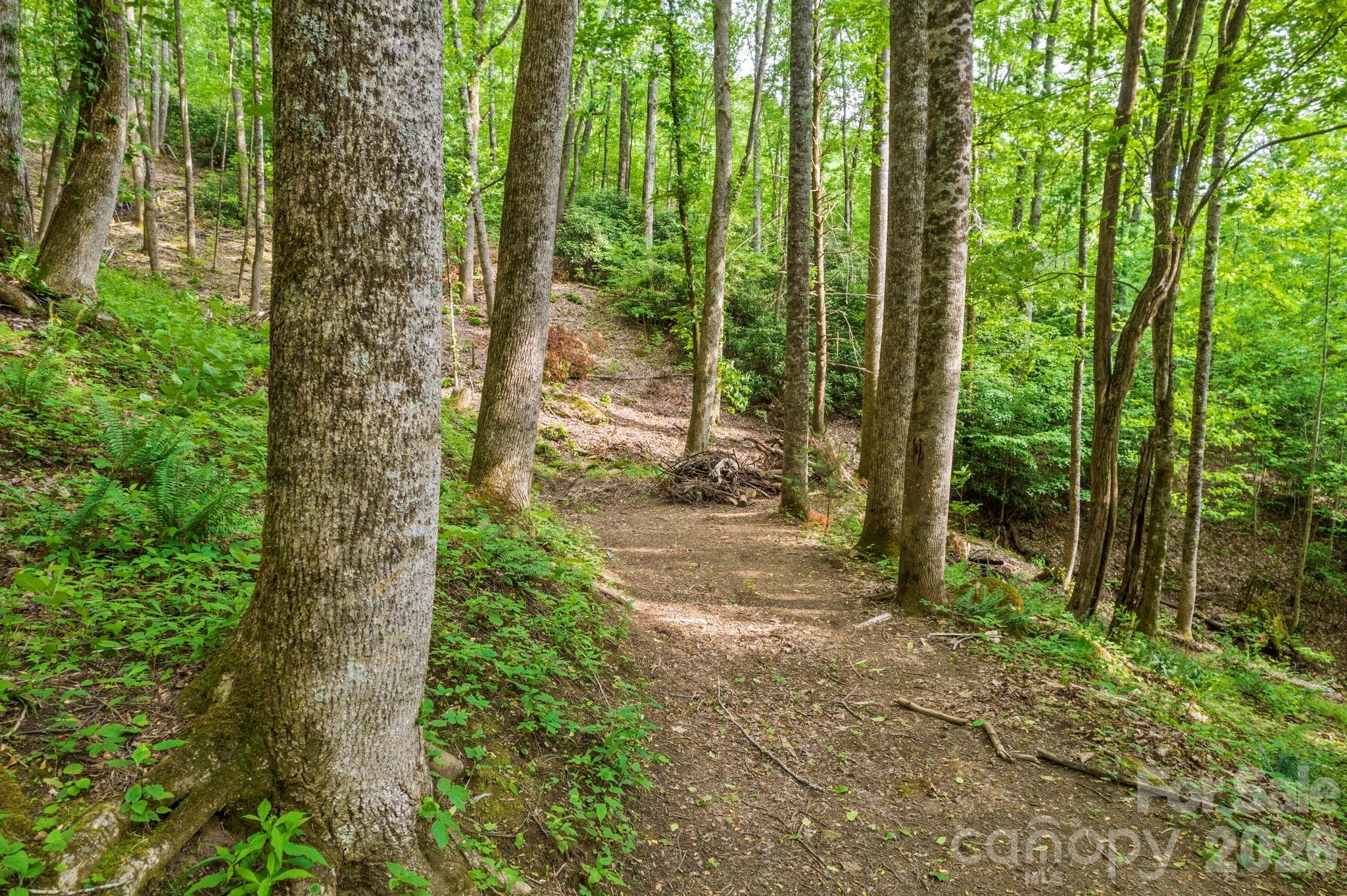 Nice cleared area. - Lt 10 Von Trapp Lane, Tuckasegee