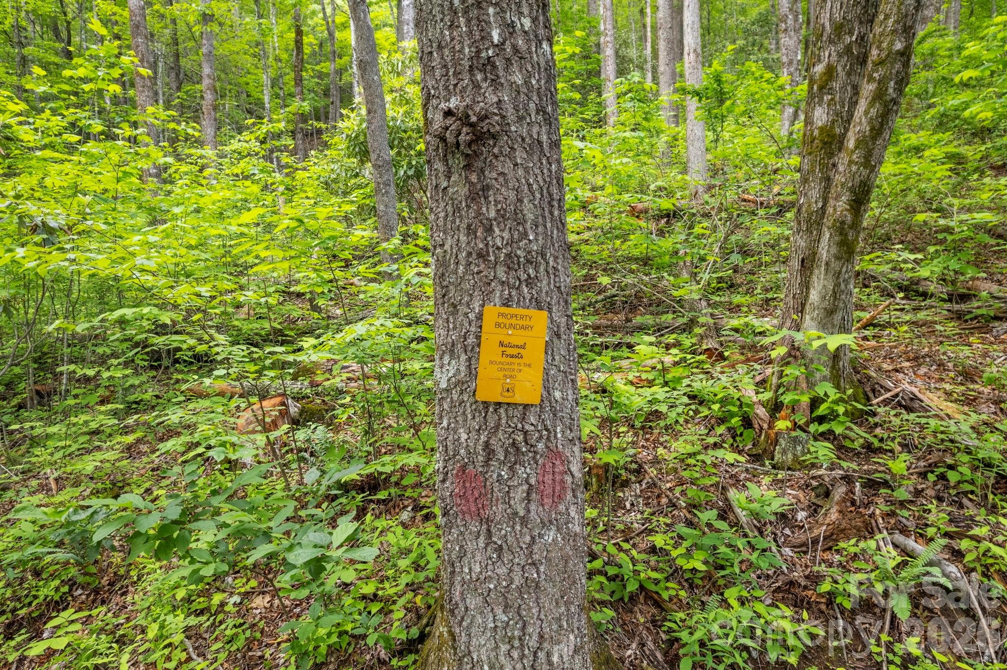This lot adjoins national forest. - Lt 10 Von Trapp Lane, Tuckasegee