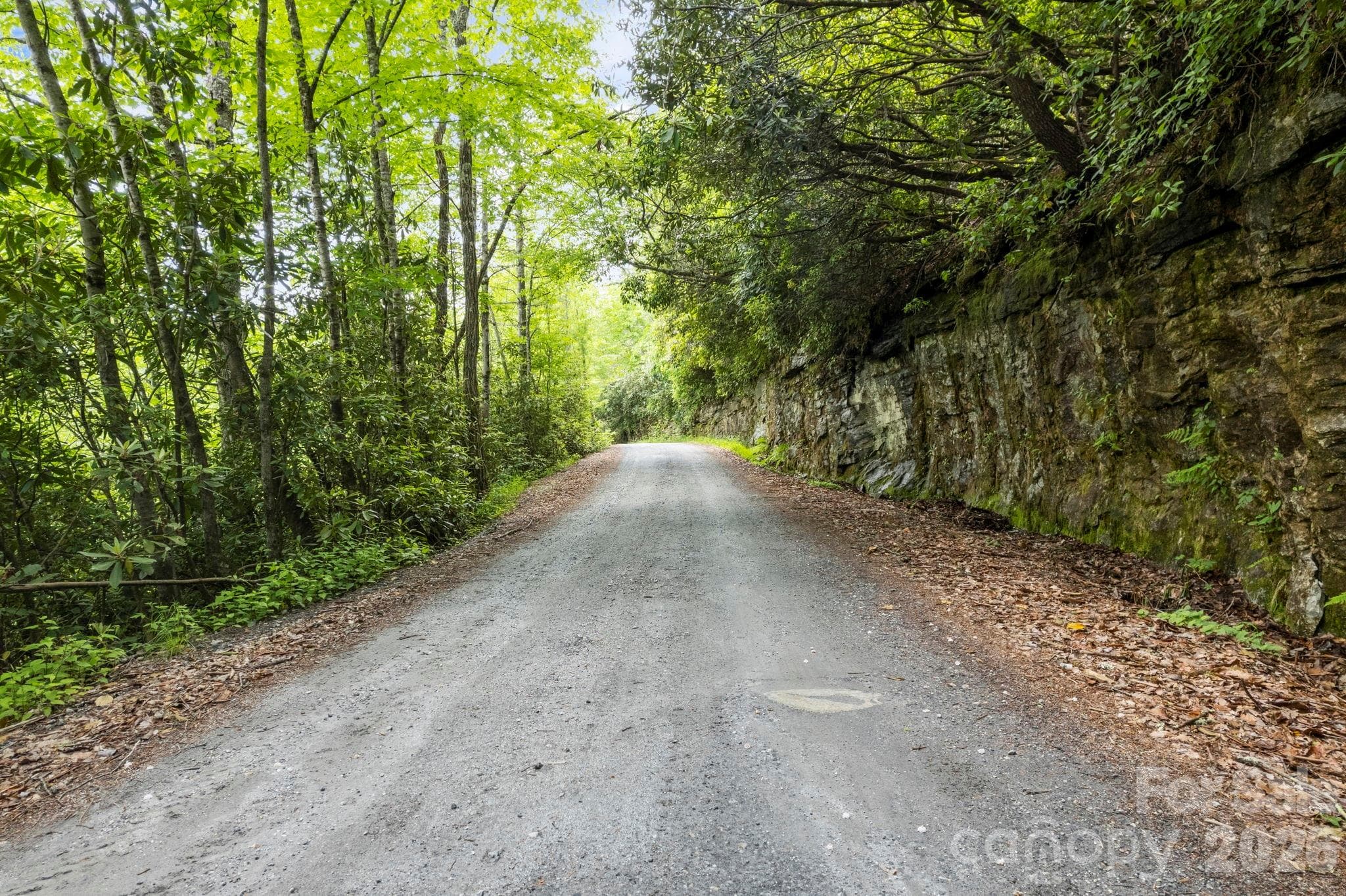 Beautiful drive in along Vess Owen Road - Lt 10 Von Trapp Lane, Tuckasegee