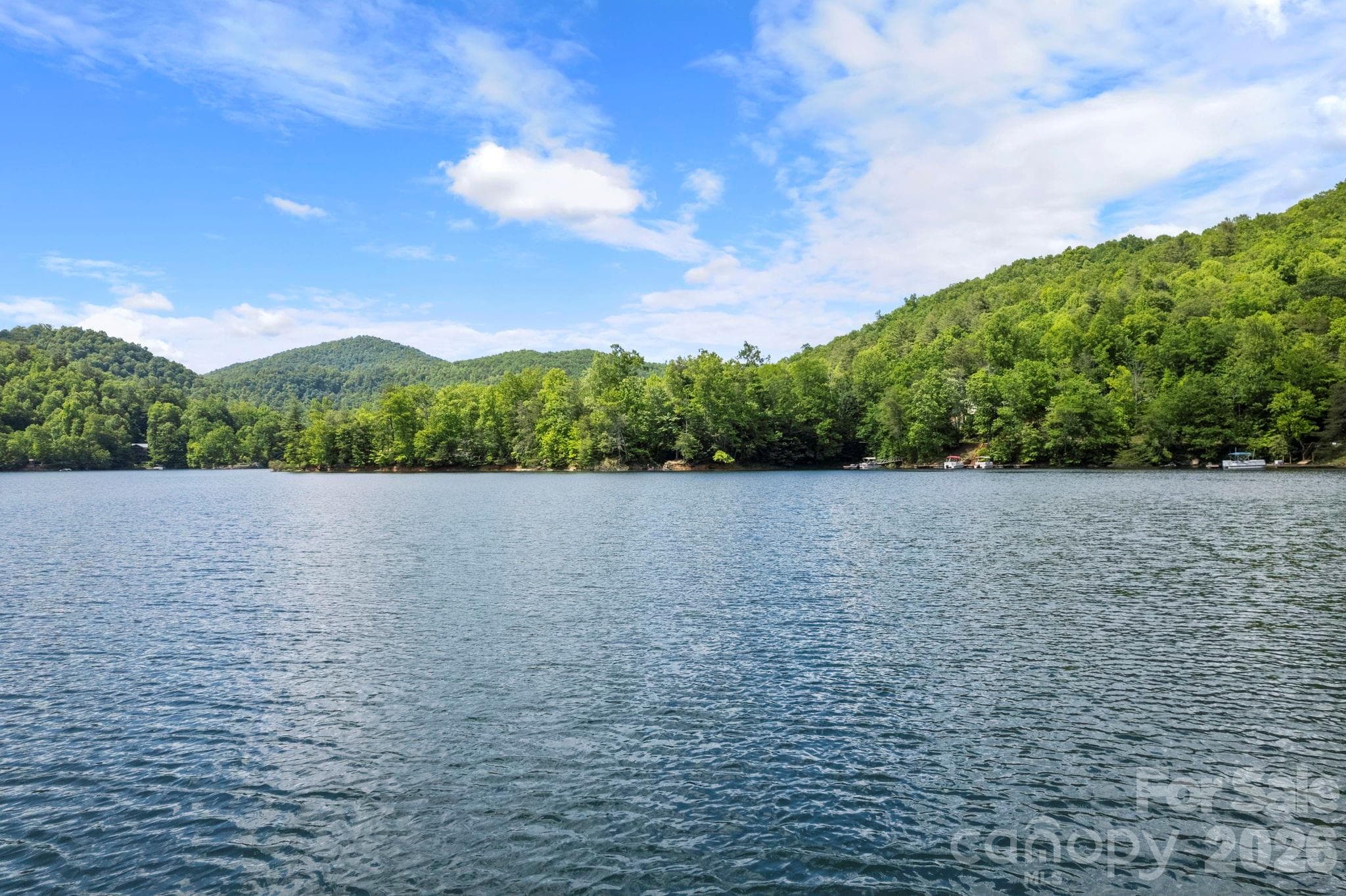 Beautiful scenery. Much of the lake is surrounded by National Forest - Lt 10 Von Trapp Lane, Tuckasegee
