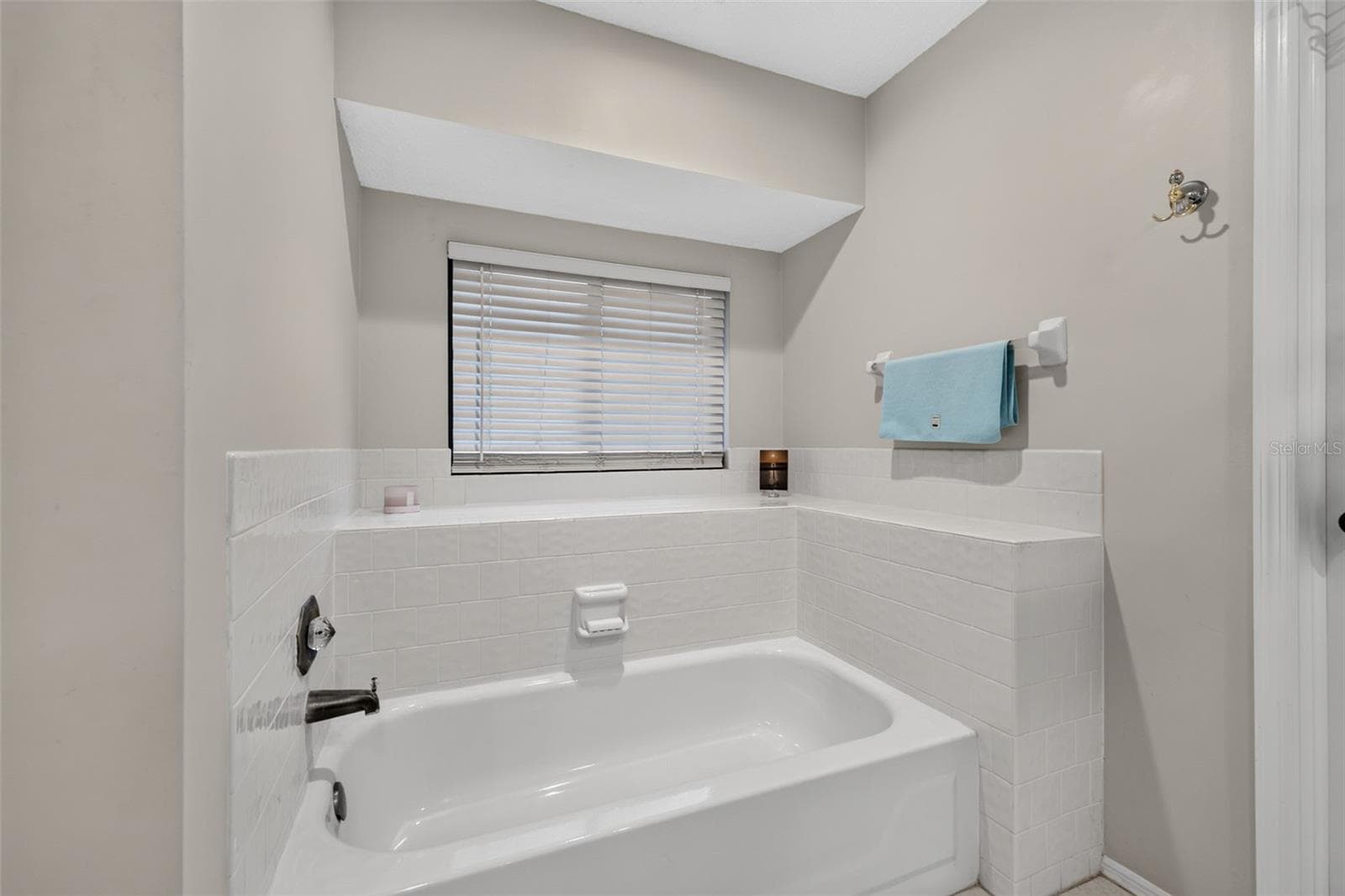 Single Family Residence at 18301 BIG POND WAY, TAMPA, photo 21 of 40