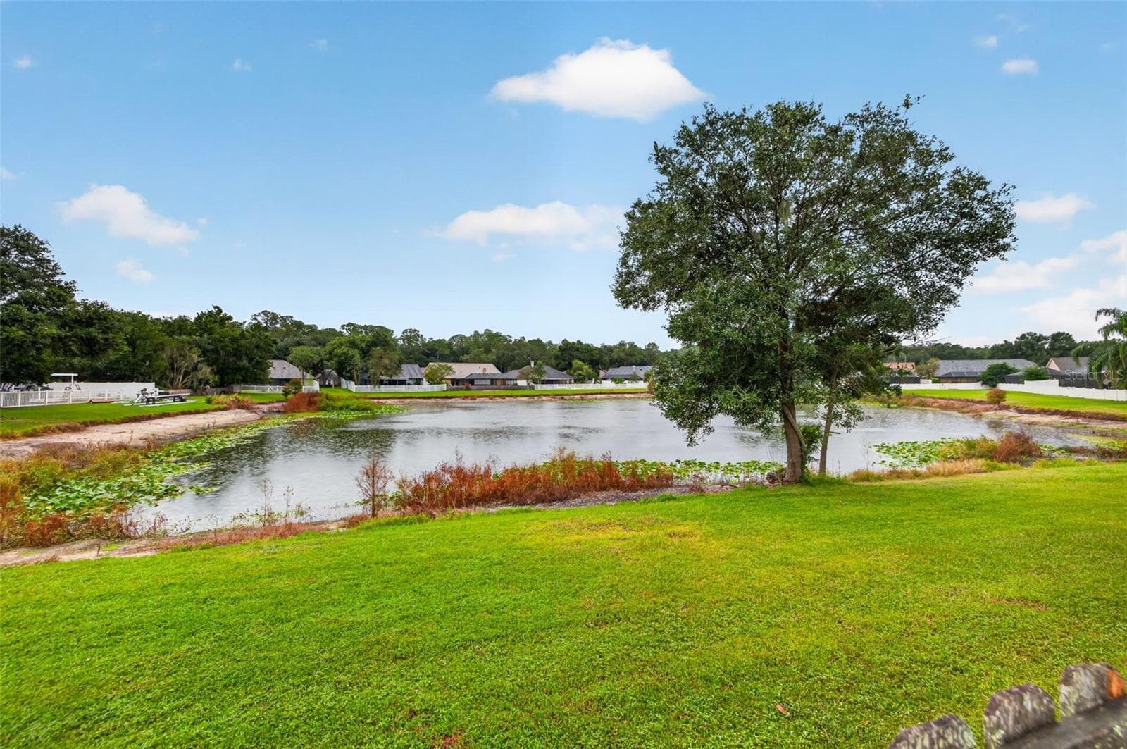 Single Family Residence at 18301 BIG POND WAY, TAMPA, photo 33 of 40