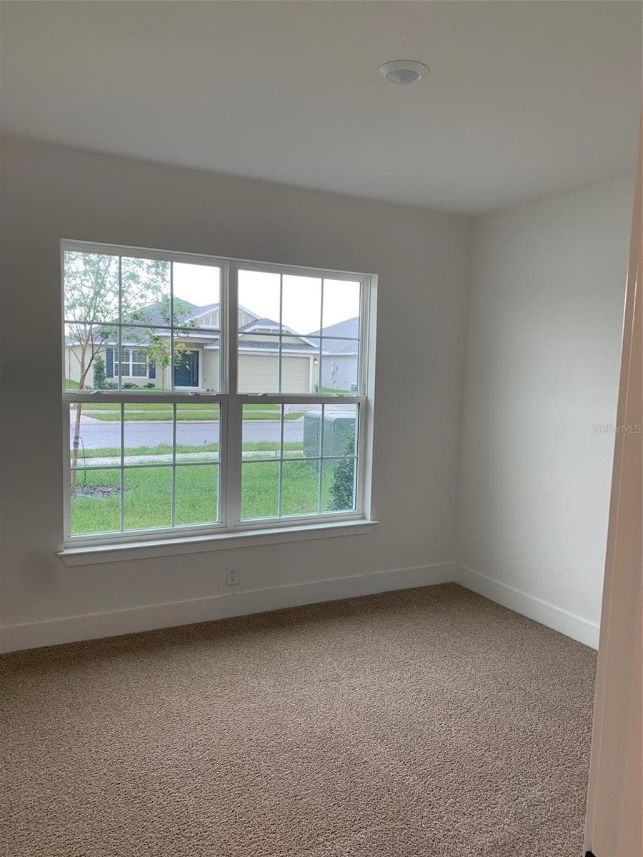 Bedroom 2 - 11619 GRACE RD, WEEKI WACHEE