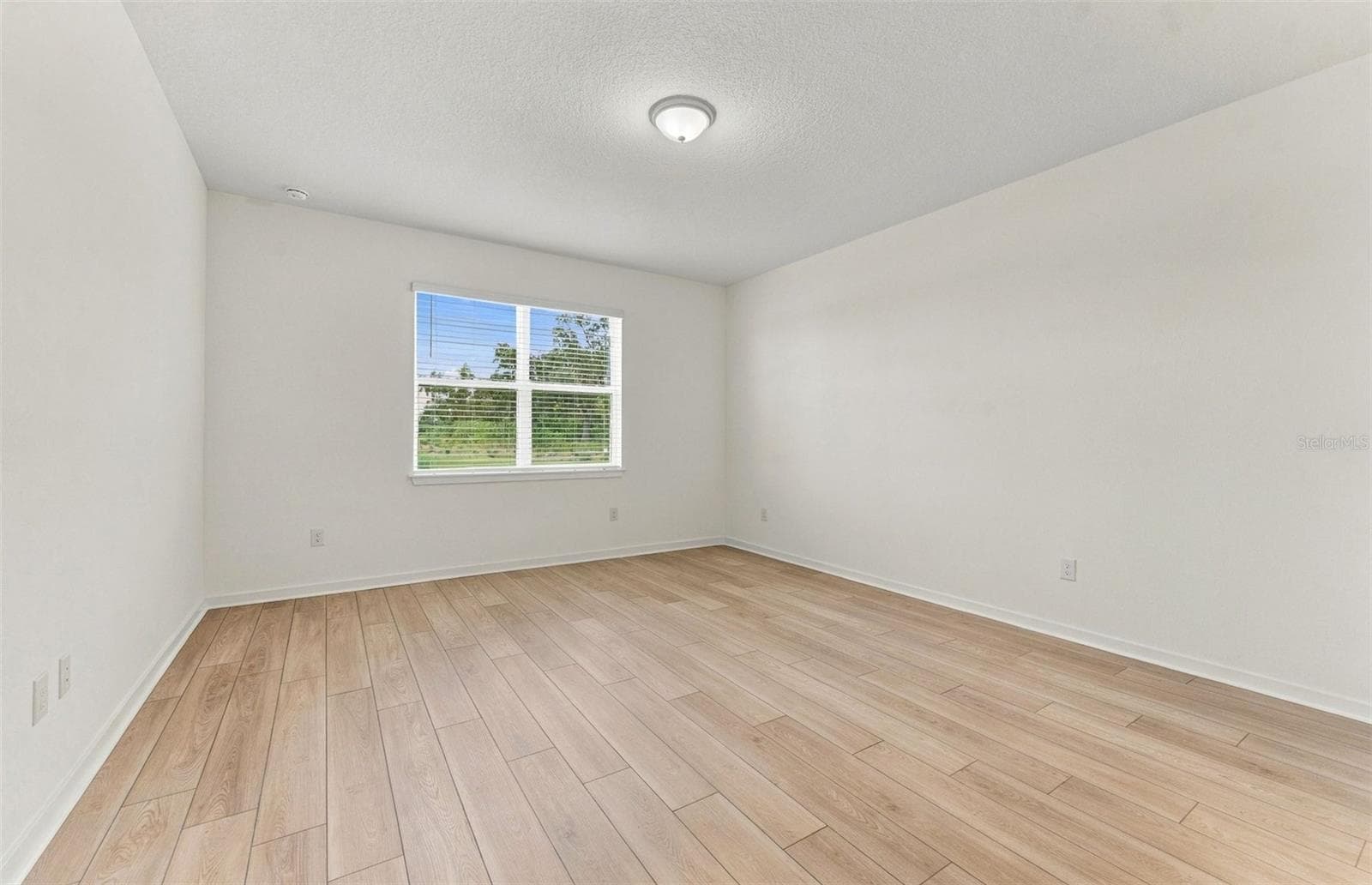 Owner's Suite - 10037 TRELLIS VINE WAY, PARRISH