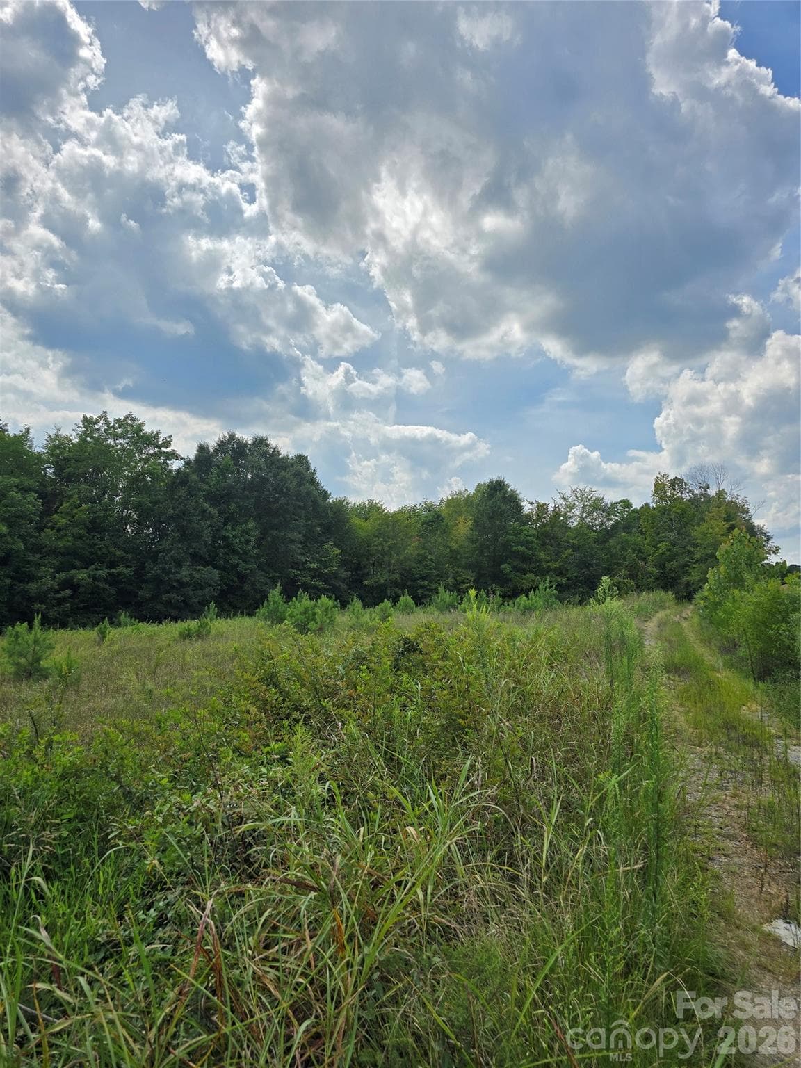Unimproved Commercial at 1768 Concord Lake Road, Kannapolis, photo 2 of 4