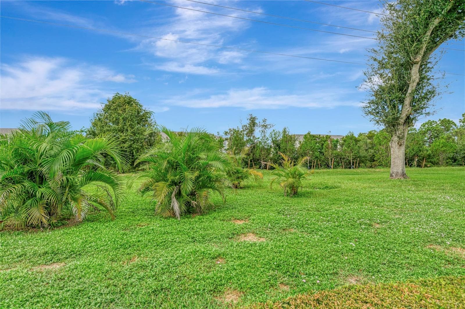 Single Family Residence at 426 BERMUDA ISLES CIR, VENICE, photo 50 of 97