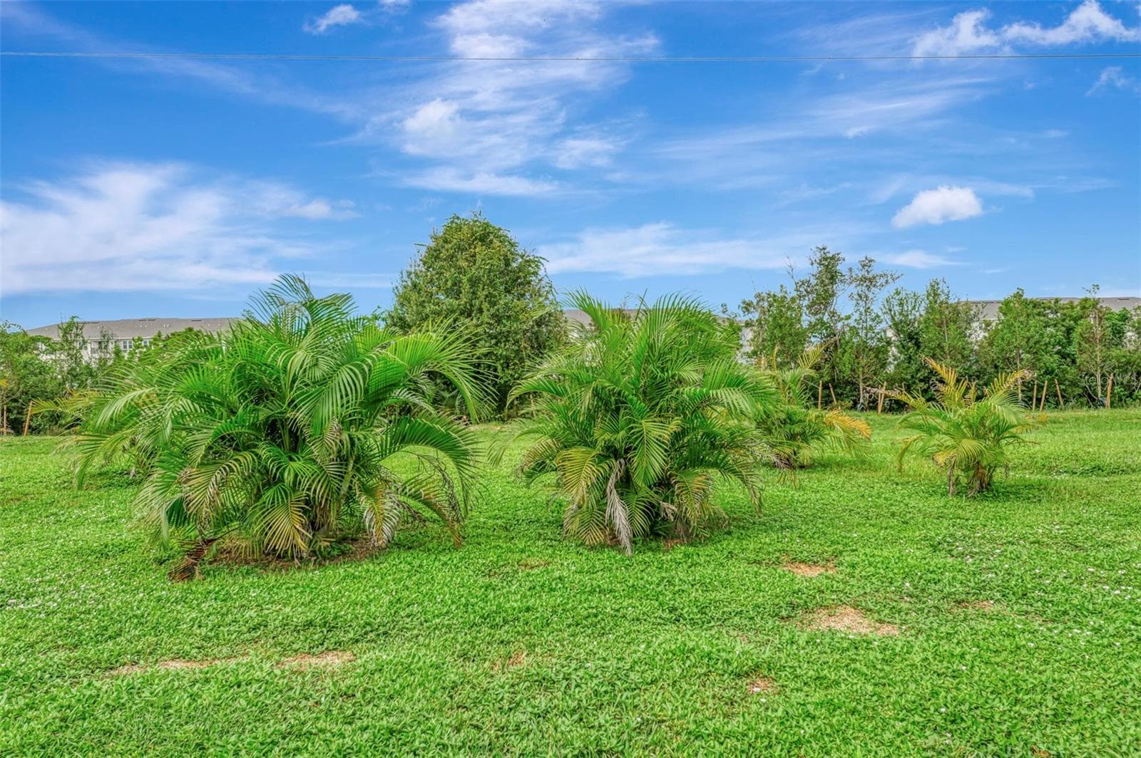 Single Family Residence at 426 BERMUDA ISLES CIR, VENICE, photo 66 of 97