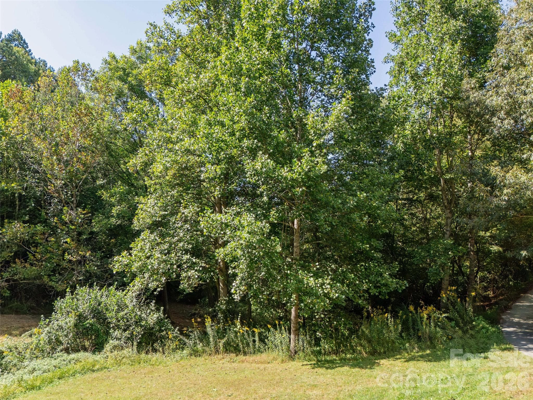Lot at 00 Newfound Road, Leicester, photo 8 of 13