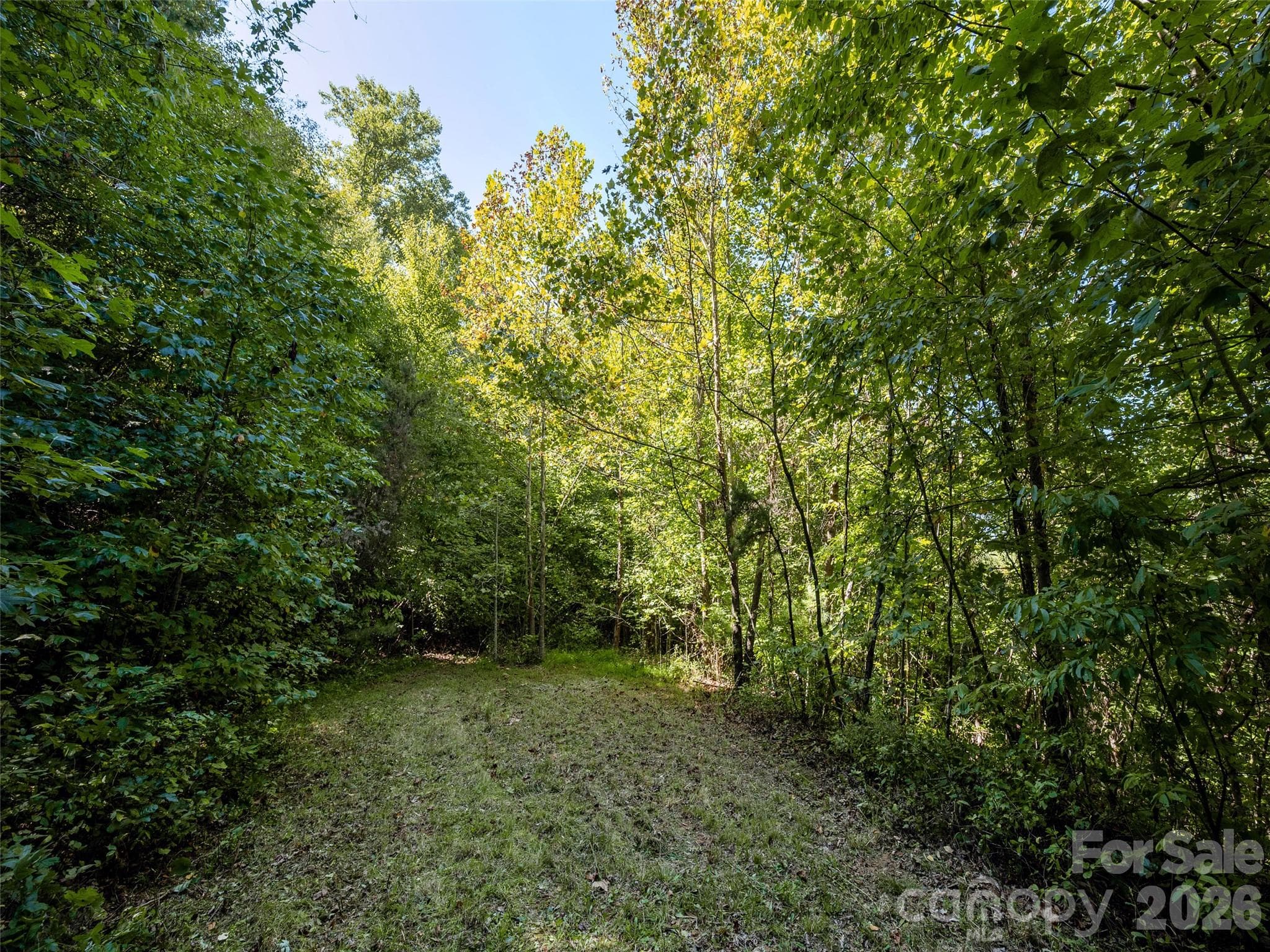 Lot at 00 Newfound Road, Leicester, photo 10 of 13