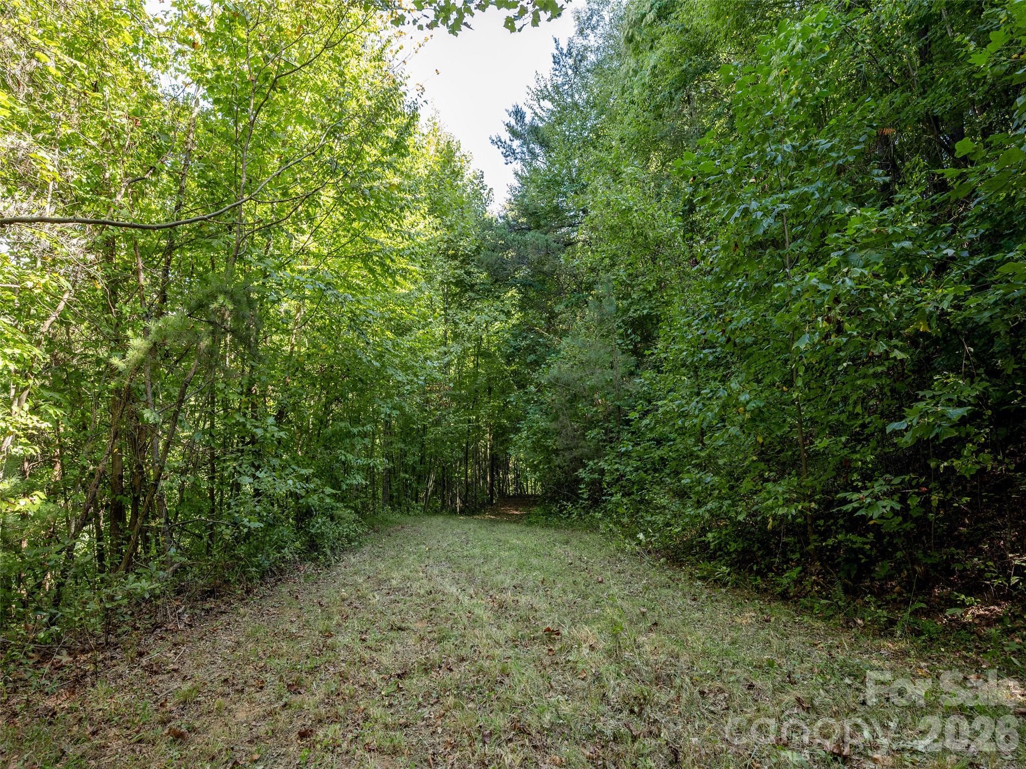 00 Newfound Road