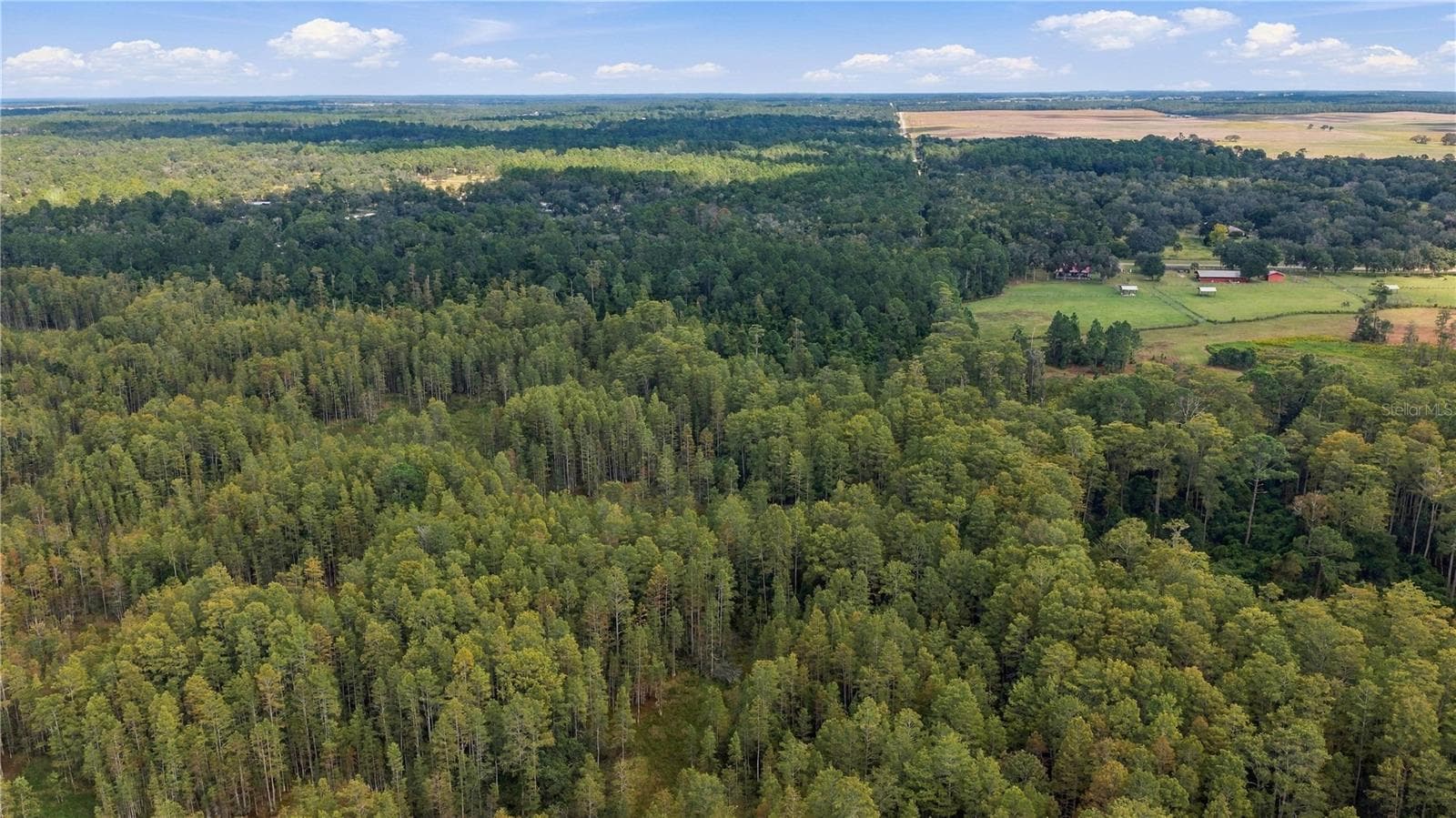 Land at TBD CR 337, MORRISTON, photo 10 of 10