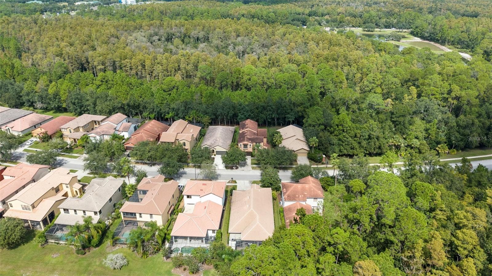 Aerial Of Property - 8264 DUNHAM STATION DR, TAMPA