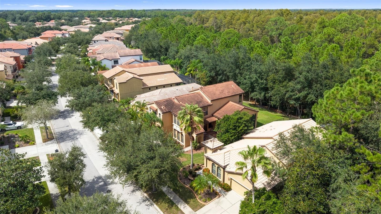 Aerial Of Property - 8264 DUNHAM STATION DR, TAMPA