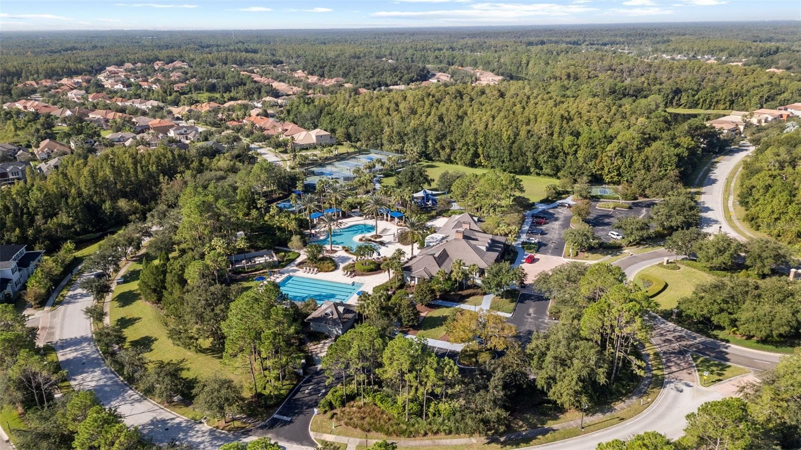 Aerial Of Amenities - 8264 DUNHAM STATION DR, TAMPA