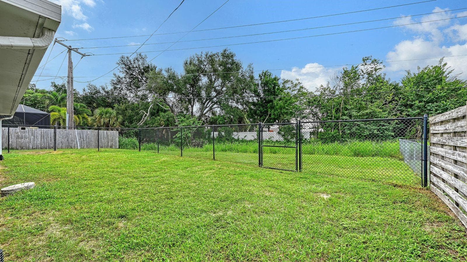 Backyard - 2610 REGATTA DR, SARASOTA