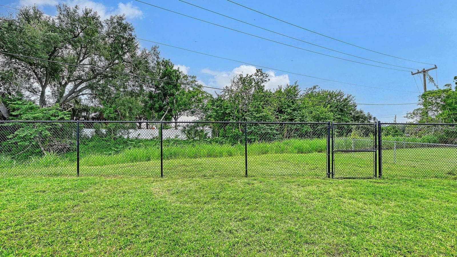 Backyard - 2610 REGATTA DR, SARASOTA
