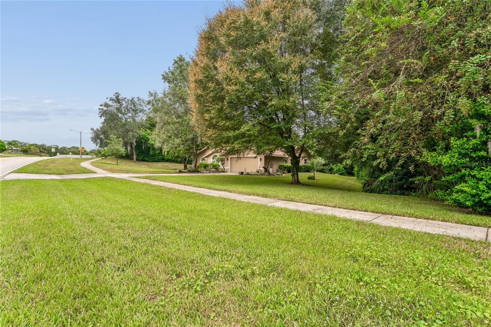 Sidewalk/Street - 14433 LINDEN DR, SPRING HILL