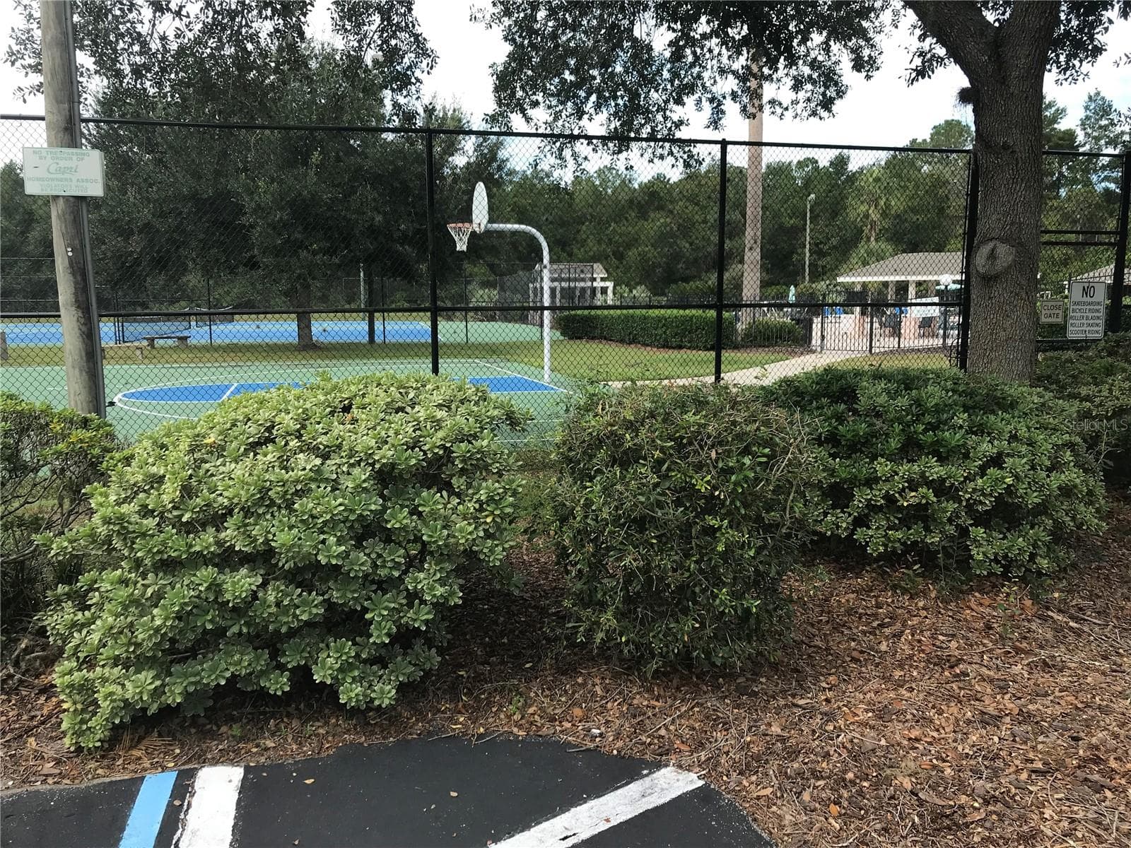Basketball, Tennis courts and swimming pool - 4328 NW 36TH TER, GAINESVILLE
