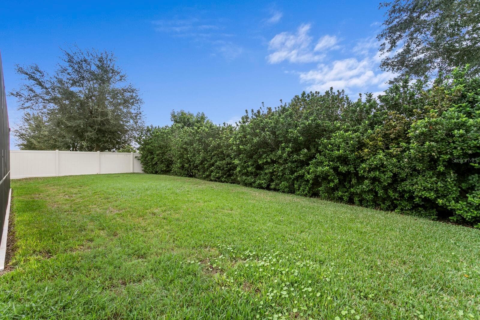 Single Family Residence at 821 FLORESTA ST, BRANDON, photo 59 of 100