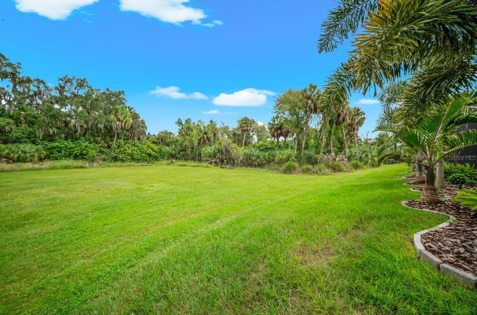 Green space behind the house - 10716 SARATOGA PL, PARRISH