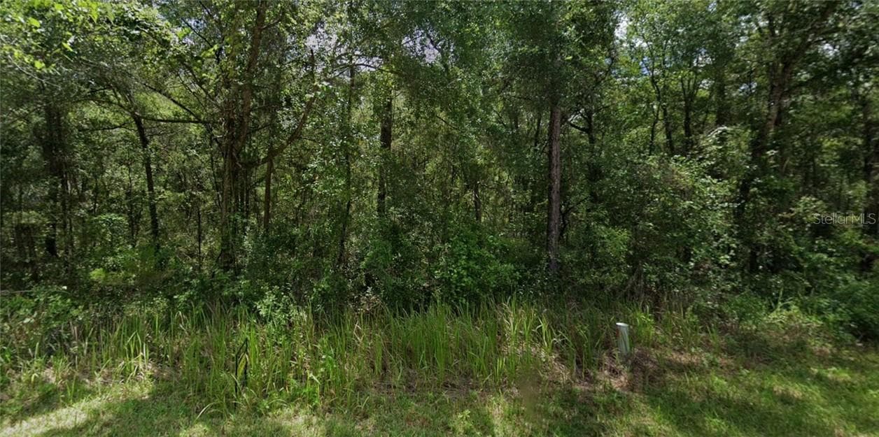 305 N Fitzpatrick AVE, INVERNESS FL 34453