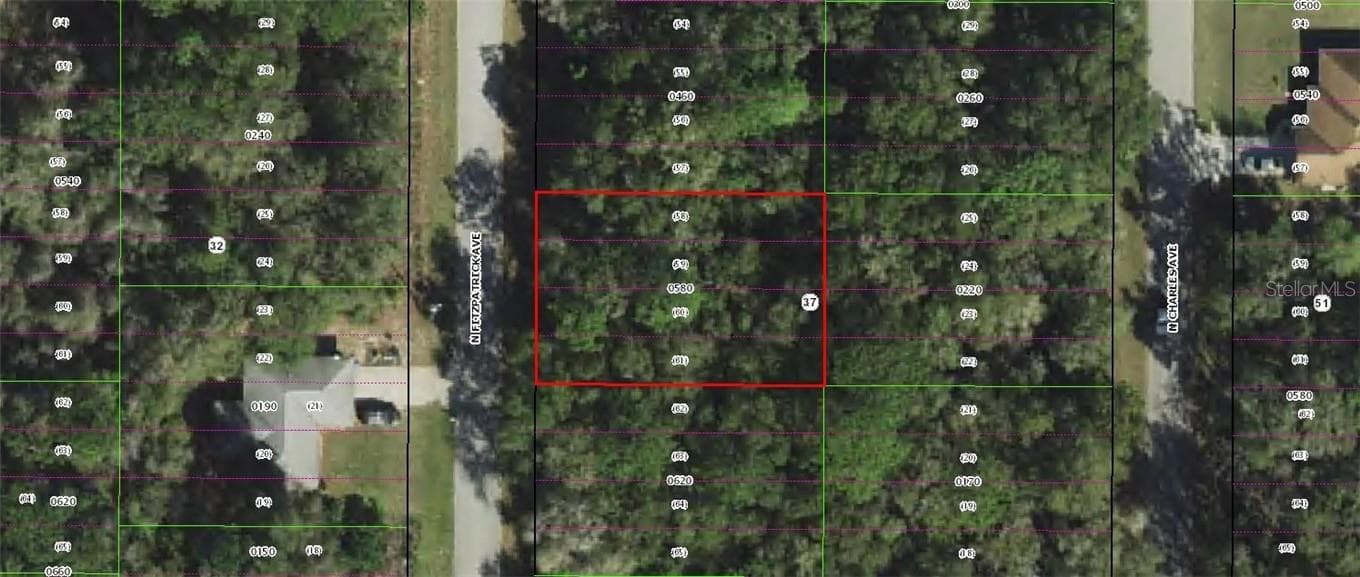 Land at 305 N Fitzpatrick AVE, INVERNESS FL 34453, photo 2 of 2