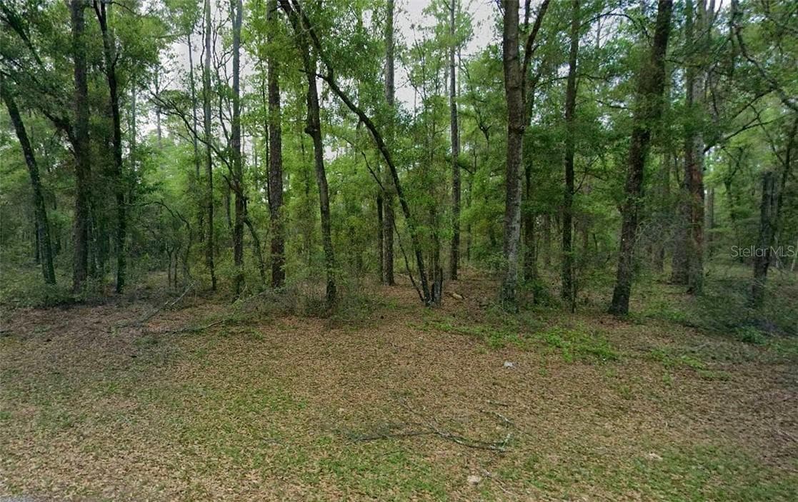 9183 N Anton WAY, CITRUSSPRINGS FL 34434