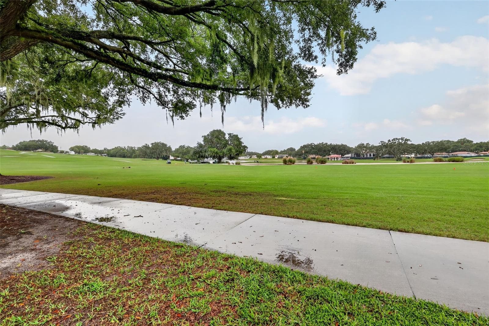 Golf course - 1436 W SCHWARTZ BLVD, LADY LAKE