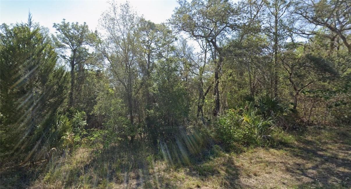 91 N West AVE, INVERNESS FL 34453