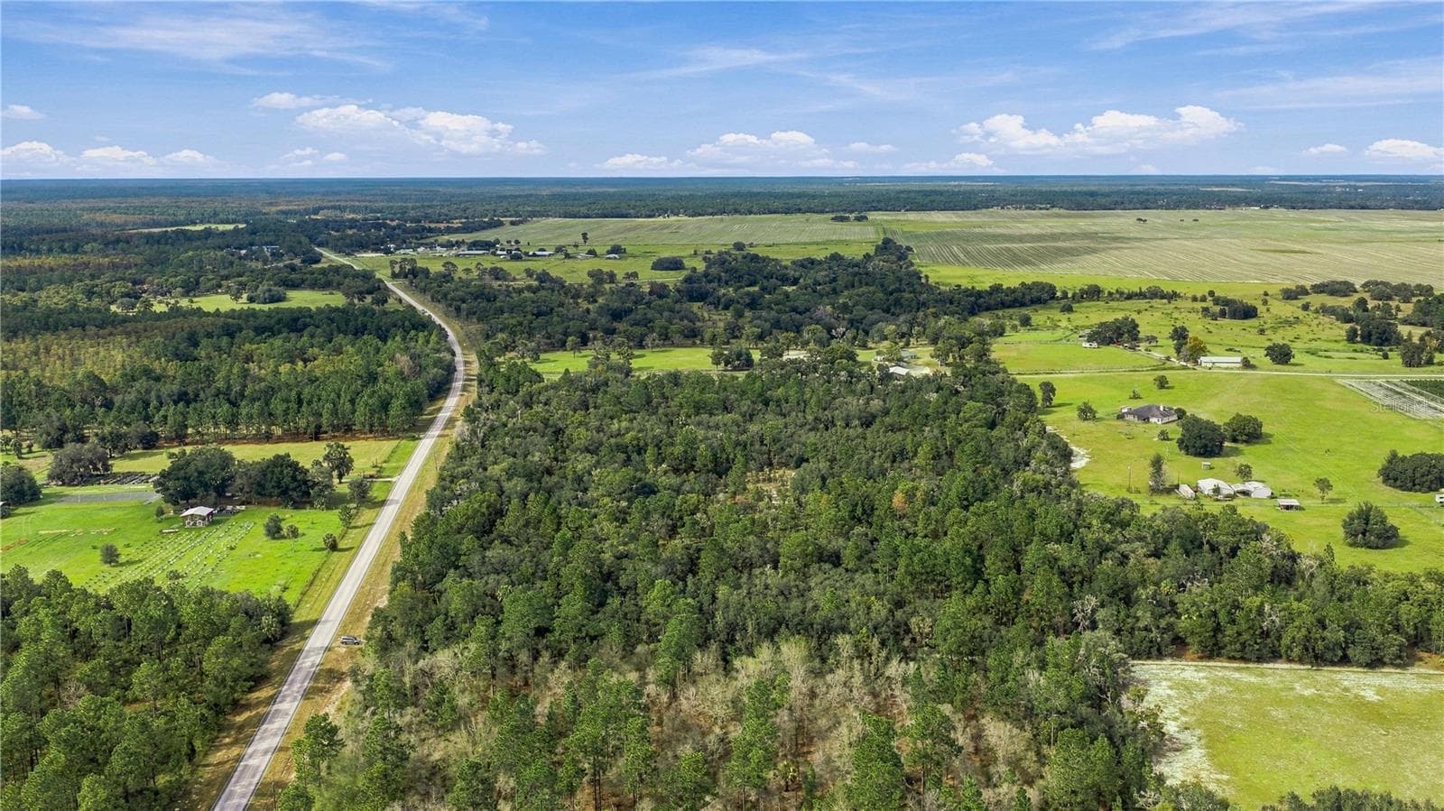 Land at TBD SE CR 337, DUNNELLON, photo 3 of 8