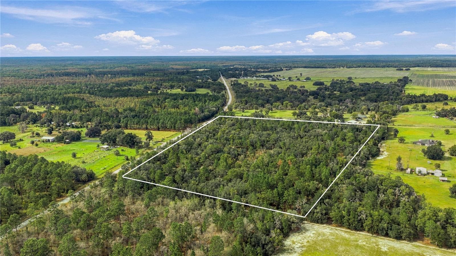 Land at TBD SE CR 337, DUNNELLON, photo 4 of 8