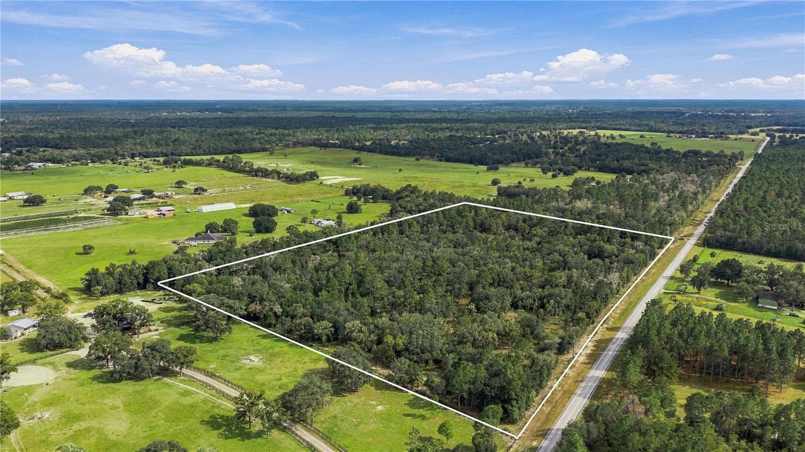 Land at TBD SE CR 337, DUNNELLON, photo 6 of 8
