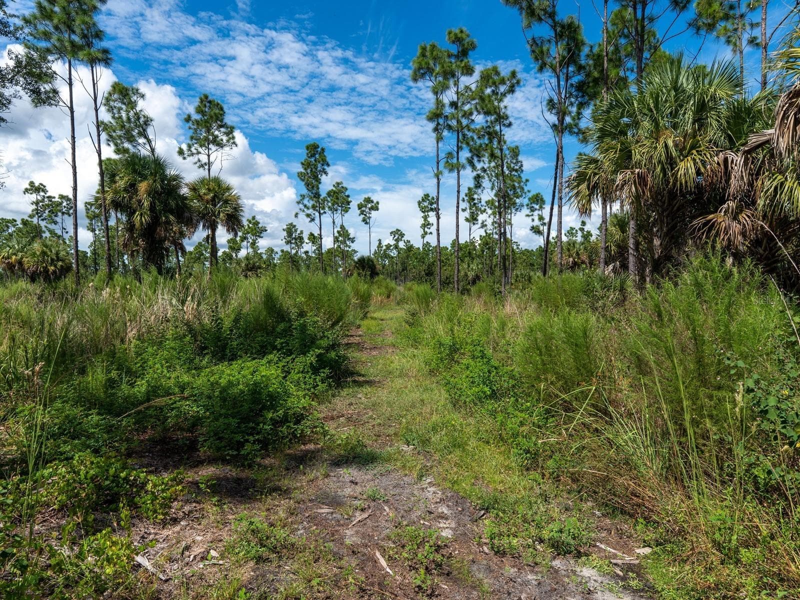 Single Family Residence at 11362 WILLMINGTON BLVD, PORT CHARLOTTE, photo 44 of 66