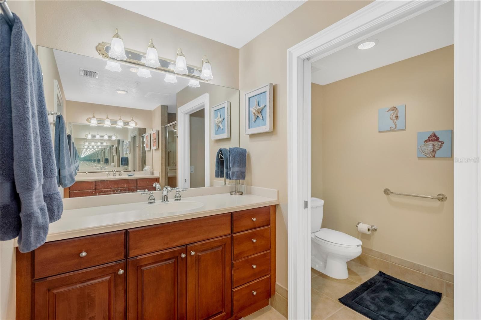 2nd Vanity with single sink and water closet with pocket door - 606 RIVIERA DUNES WAY #405, PALMETTO