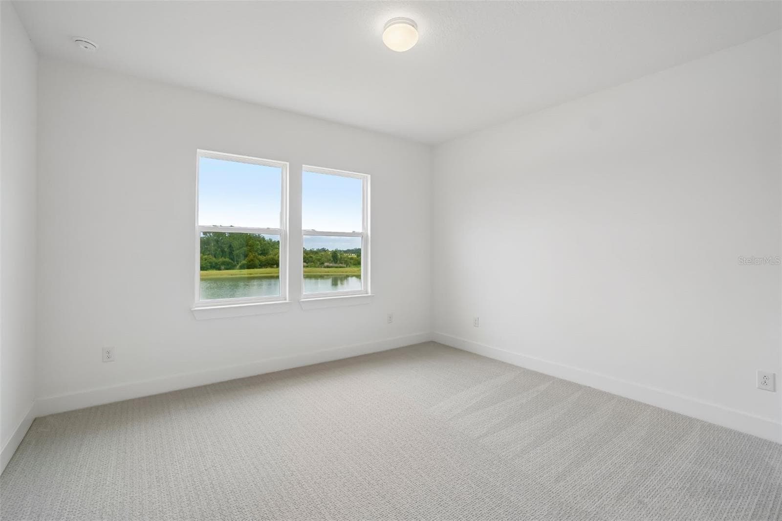 Model Representation - 35136 COLSTRIP TRL, ZEPHYRHILLS