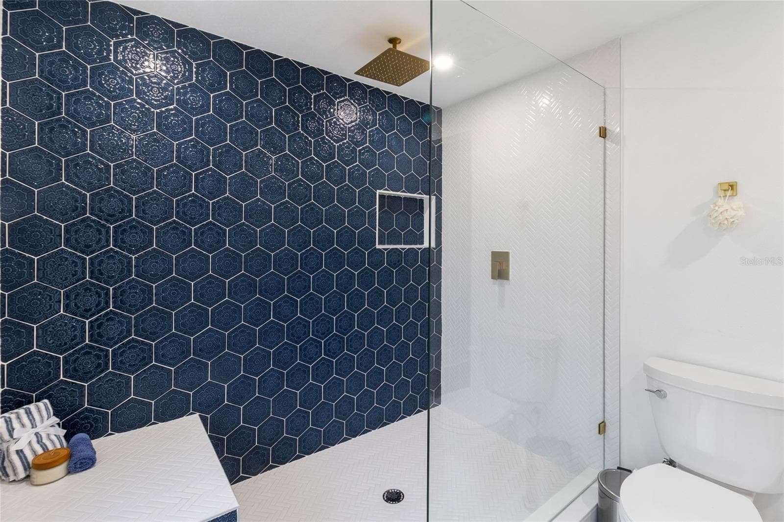 Rain shower head! - 2243 HIGHLAND ST S, ST PETERSBURG