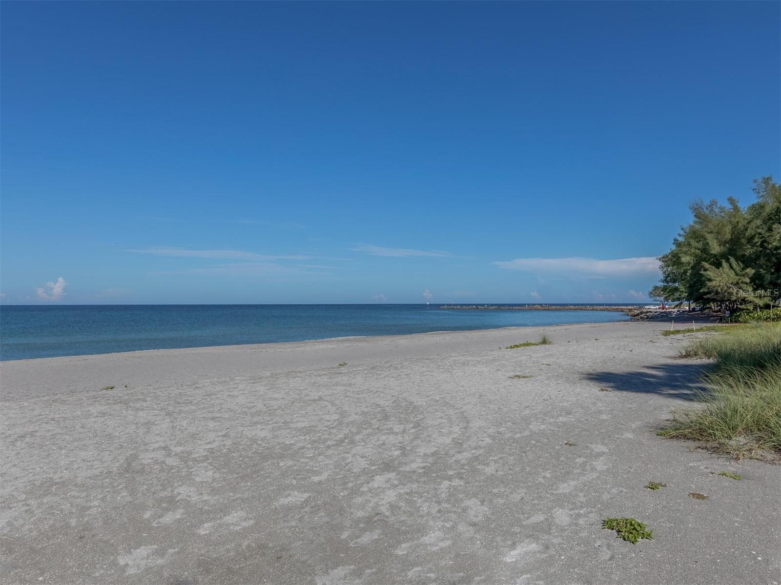 Condominium at 1555 TARPON CENTER DR #247, VENICE, photo 36 of 58