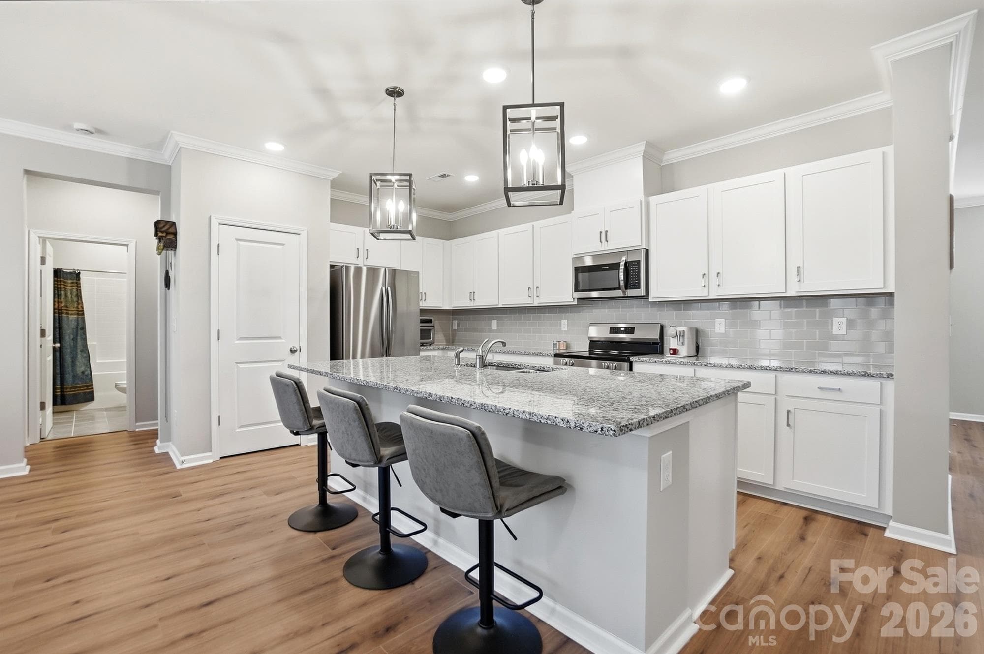 Single Family Residence at 1032 Ansley Park Drive, Indian Land, photo 2 of 27